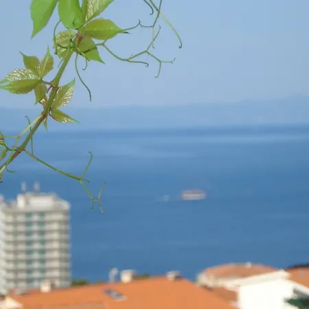 Milic Apartment
