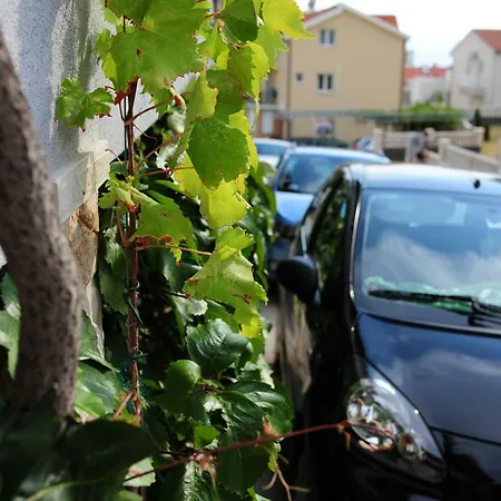 Apartment Milic *