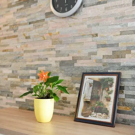 Apartment Milic