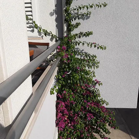 Apartment Milic *